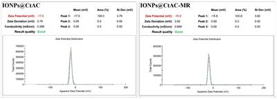 Activated carbon-coated iron oxide magnetic nanocomposite (IONPs@CtAC) loaded with morin hydrate for drug-delivery applications